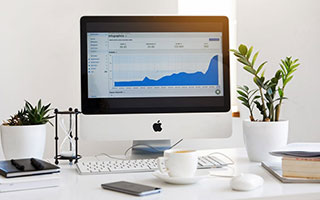 太空大灌篮2在线观看 4K高清完整版