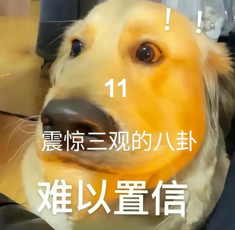 搞笑视频语言_搞笑视频台词剧本_网红搞笑八卦台词视频大全-