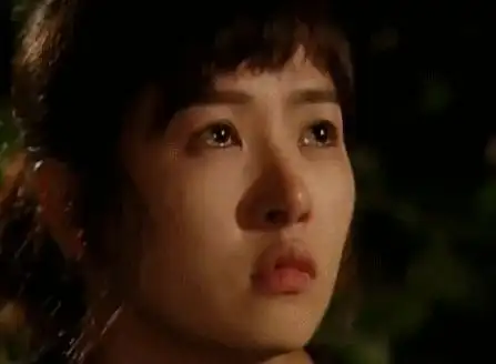 崔智友蔡琳尹恩惠刘仁娜刘荷娜韩恩贞金宣儿郑丽媛李多海朴诗妍_韩剧整容女明星_韩国整容女明星颜值变化